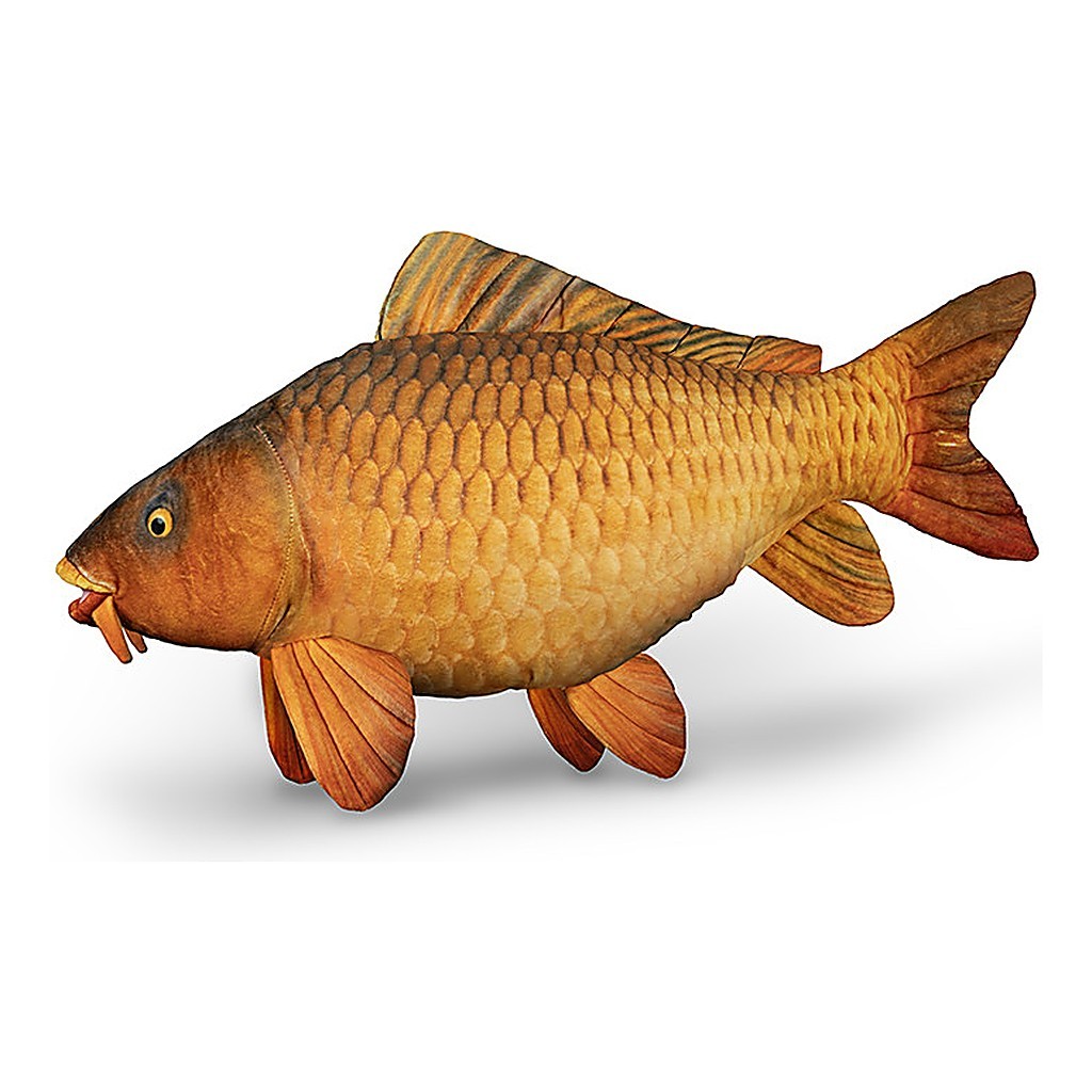 Delphin Plush Carp - 60 cm in der Gruppe Sonstiges / Fische Stofftiere & Trophäen Fische bei Sportfiskeprylar.se (101006075)