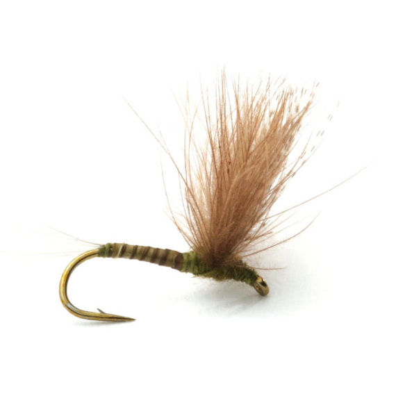 Guideline CDC Biot Comparadun Olive in der Gruppe Köder / Fliegen / Trockenfliegen bei Sportfiskeprylar.se (101132GLr)