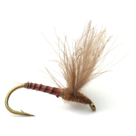 Guideline CDC Biot Comparadun Quill G #16 in der Gruppe Köder / Fliegen / Trockenfliegen bei Sportfiskeprylar.se (101137GL)