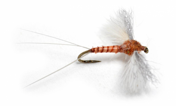 CDC Biot Spinner Rusty, #12 in der Gruppe Köder / Fliegen / Trockenfliegen bei Sportfiskeprylar.se (101140GL)