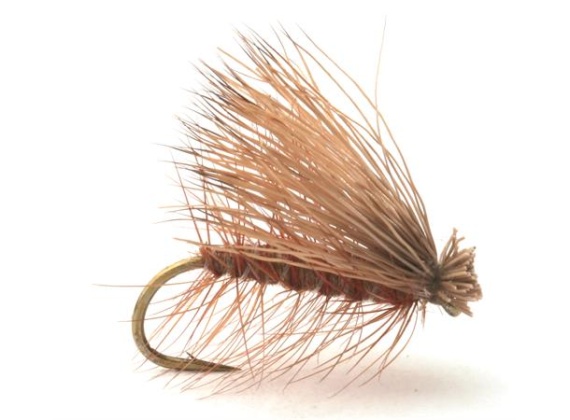 Guideline Elk Caddis Brown in der Gruppe Köder / Fliegen / Trockenfliegen bei Sportfiskeprylar.se (101177GLr)