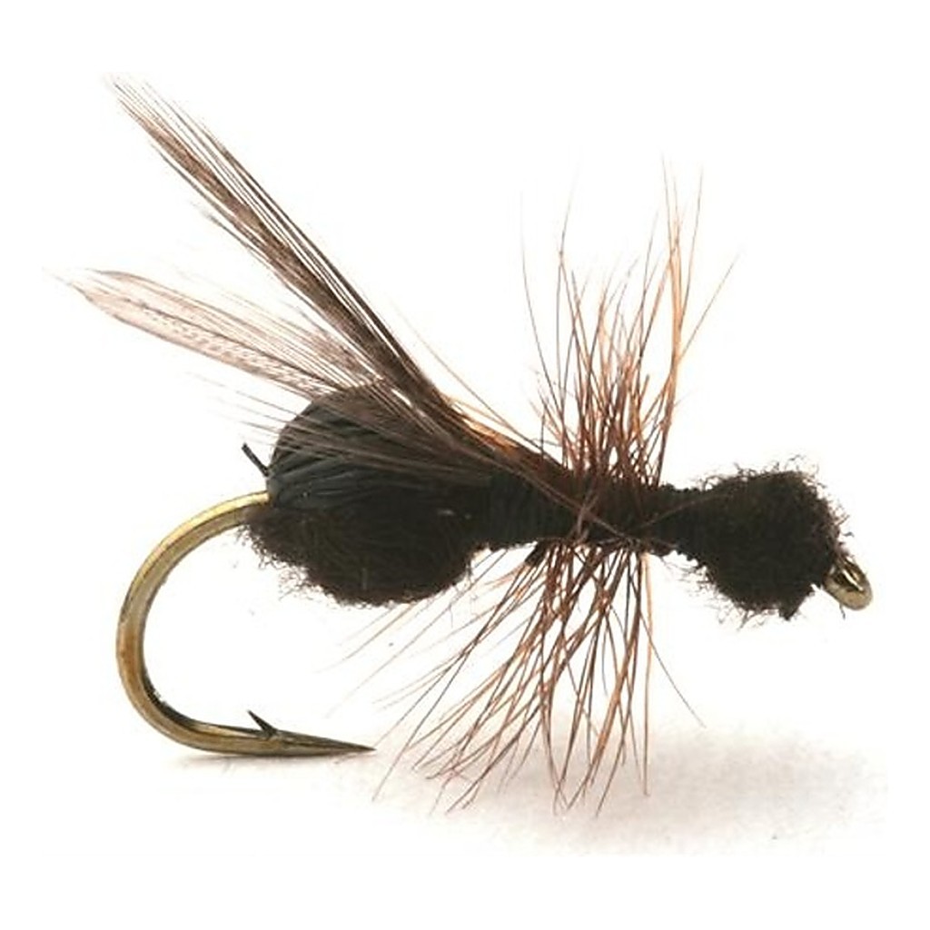 Guideline Flying Ant / Myra Black # 12 in der Gruppe Köder / Fliegen / Trockenfliegen bei Sportfiskeprylar.se (101213GL)