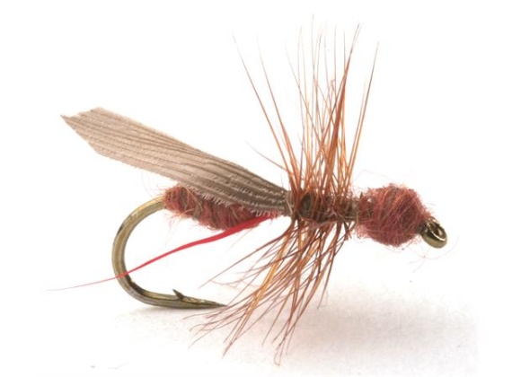 Guideline Flying Ant / Myra Cinnamon # 16 in der Gruppe Köder / Fliegen / Trockenfliegen bei Sportfiskeprylar.se (101218GL)