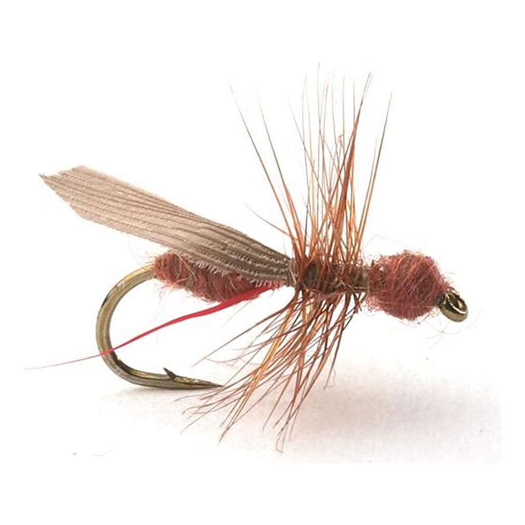 Guideline Flying Ant Cinnamon # 16 in der Gruppe Köder / Fliegen / Trockenfliegen bei Sportfiskeprylar.se (101218GL)