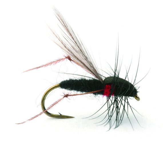 Russer Flua Tørr - 12 in der Gruppe Köder / Fliegen / Trockenfliegen bei Sportfiskeprylar.se (101232GL)