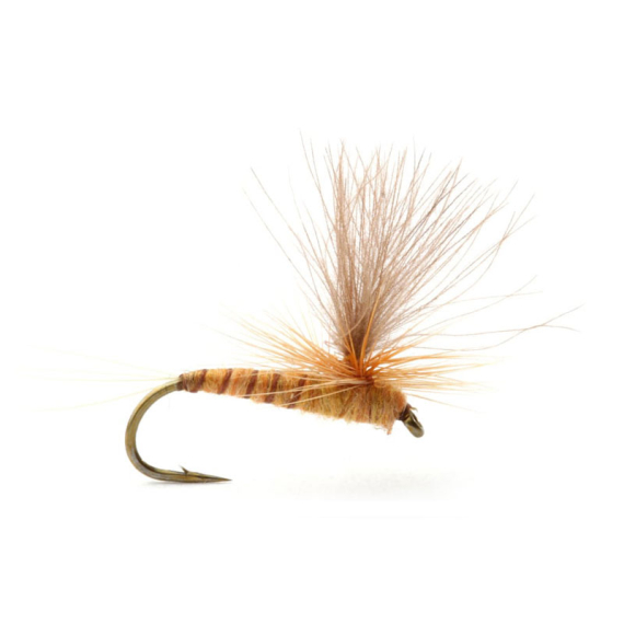 Guideline Aurivillii in der Gruppe Köder / Fliegen / Trockenfliegen bei Sportfiskeprylar.se (101389GLr)