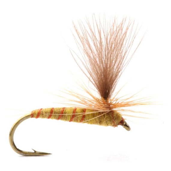 Guideline Ignita in der Gruppe Köder / Fliegen / Trockenfliegen bei Sportfiskeprylar.se (101392GLr)