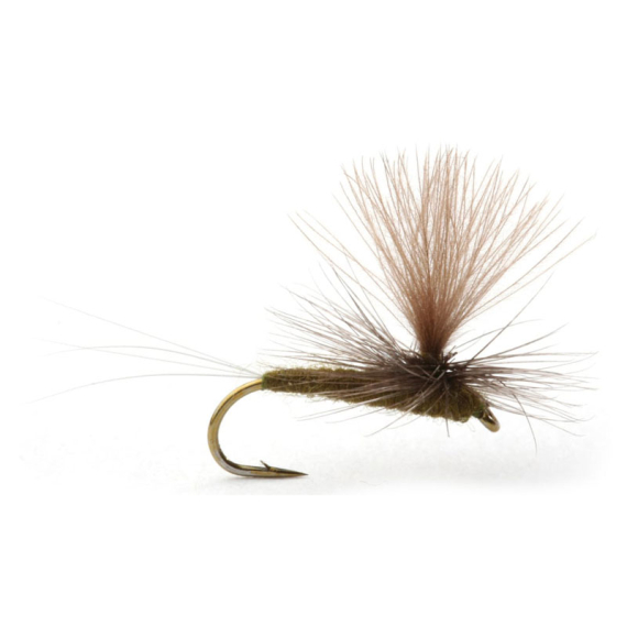 Guideline Baetis Dark Olive in der Gruppe Köder / Fliegen / Trockenfliegen bei Sportfiskeprylar.se (101395GLr)