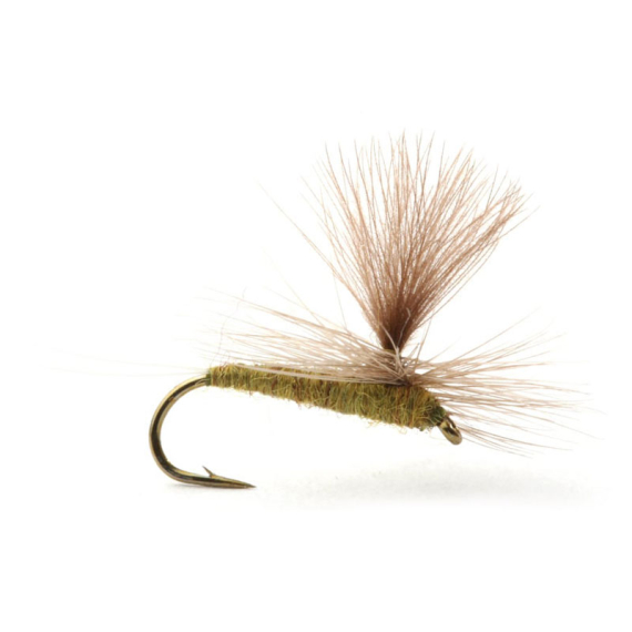 Guideline Baetis Medium Olive in der Gruppe Köder / Fliegen / Trockenfliegen bei Sportfiskeprylar.se (101397GLr)