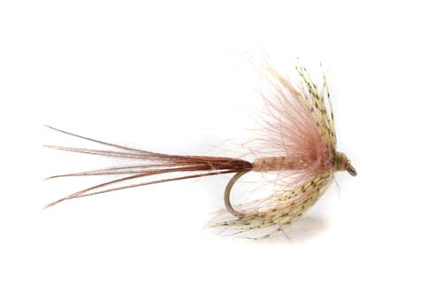 Vulgata Gosling - 8 in der Gruppe Köder / Fliegen / Trockenfliegen bei Sportfiskeprylar.se (101463GL)