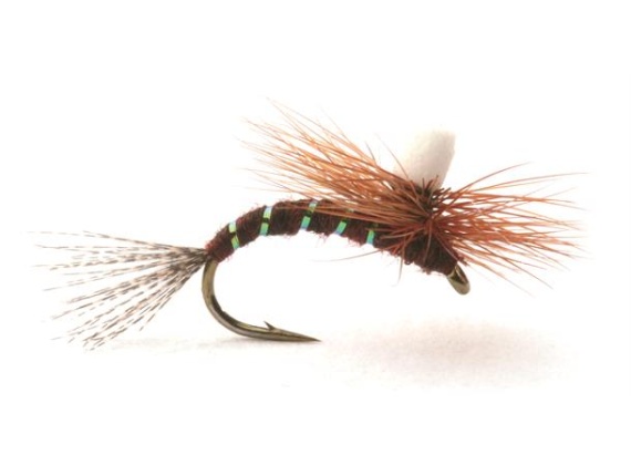 Guideline Ephemerella Klekker # 16 in der Gruppe Köder / Fliegen / Trockenfliegen bei Sportfiskeprylar.se (101476GL)