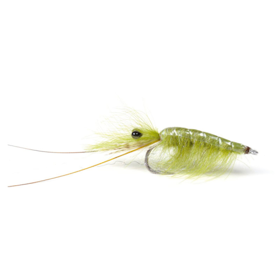 Olive CDC Shrimp #6 in der Gruppe Angelmethoden bei Sportfiskeprylar.se (101583GL)