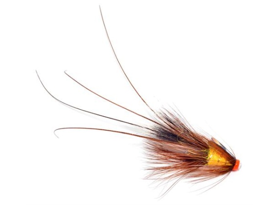 Pot Belly Pig - Creme Brulee 0,75 Copper Tube in der Gruppe Köder / Fliegen / Lachsfliegen bei Sportfiskeprylar.se (104432GL)