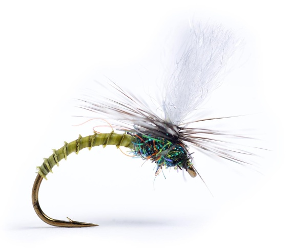 Klink Lt. Olive Biot #16 in der Gruppe Köder / Fliegen / Trockenfliegen bei Sportfiskeprylar.se (104815GL)