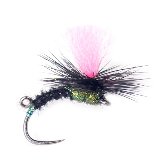 Guideline Indi Black Klink #12 in der Gruppe Köder / Fliegen / Trockenfliegen bei Sportfiskeprylar.se (107101GL)