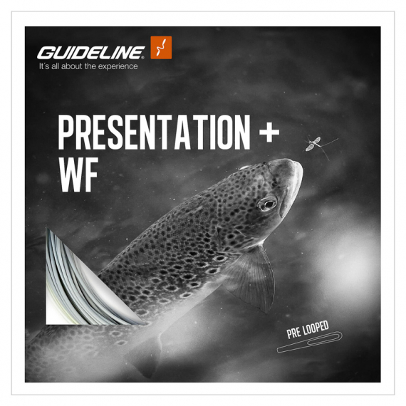 Guideline Presentation+ WF in der Gruppe Schnüre / Fliegenschnüre / Einhand bei Sportfiskeprylar.se (107188GLr)