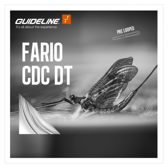Guideline Fario CDC DT in der Gruppe Schnüre / Fliegenschnüre / Einhand bei Sportfiskeprylar.se (107438GLr)
