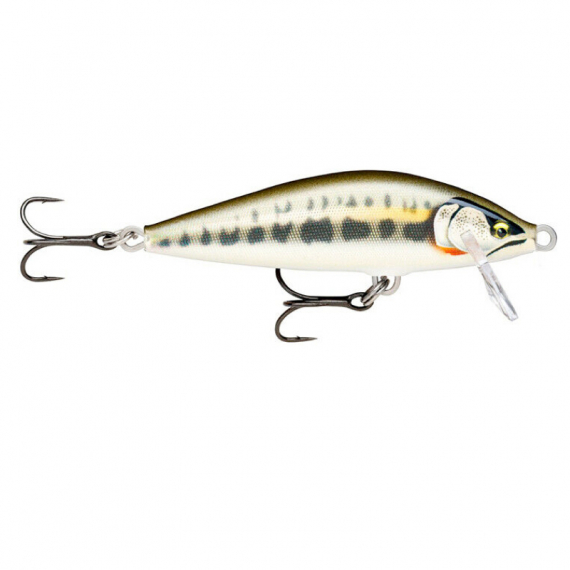 Rapala CountDown Elite 7,5cm, 10g - GDMN in der Gruppe Köder / Wobbler / Flachlaufende Wobbler bei Sportfiskeprylar.se (124020NO)