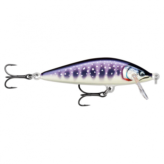 Rapala CountDown Elite 5,5cm GDIW in der Gruppe Köder / Wobbler / Flachlaufende Wobbler bei Sportfiskeprylar.se (126555NO)