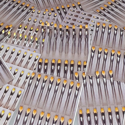 FutureFly Artificial Jungle Cock in der Gruppe Haken & Zubehör / Fliegenbinden / Fliegenbindematerial / Augen bei Sportfiskeprylar.se (1465-001r)