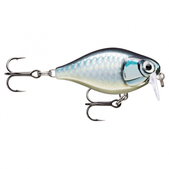 Rapala X-Light Crank Shallow Runner in der Gruppe Köder / Wobbler / Flachlaufende Wobbler bei Sportfiskeprylar.se (146501NOr)