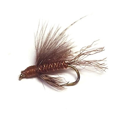 CDC Caddis Emerger Brown # 16 in der Gruppe Köder / Fliegen / Trockenfliegen bei Sportfiskeprylar.se (16058-BRWN-16)