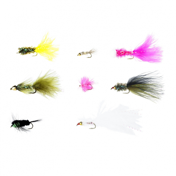 Pool 12 Flies for Rainbow Trout in der Gruppe Köder / Fliegen / Fliegenpaket bei Sportfiskeprylar.se (20178973)
