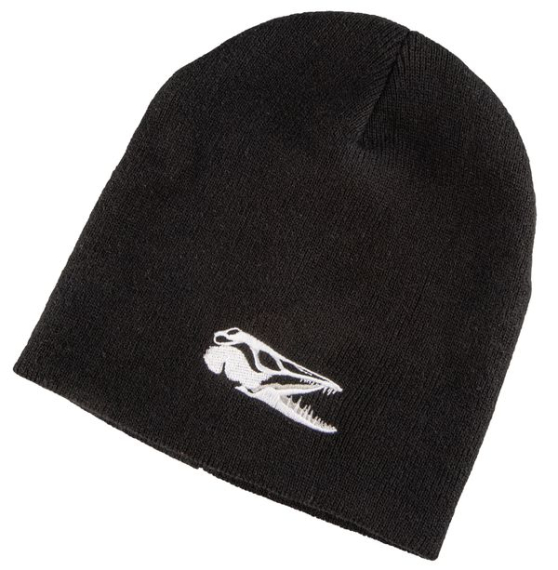 IFISH Beanie in der Gruppe Kleidung & Schuhe / Kappen & Kopfbedeckungen / Mützen bei Sportfiskeprylar.se (20241266)