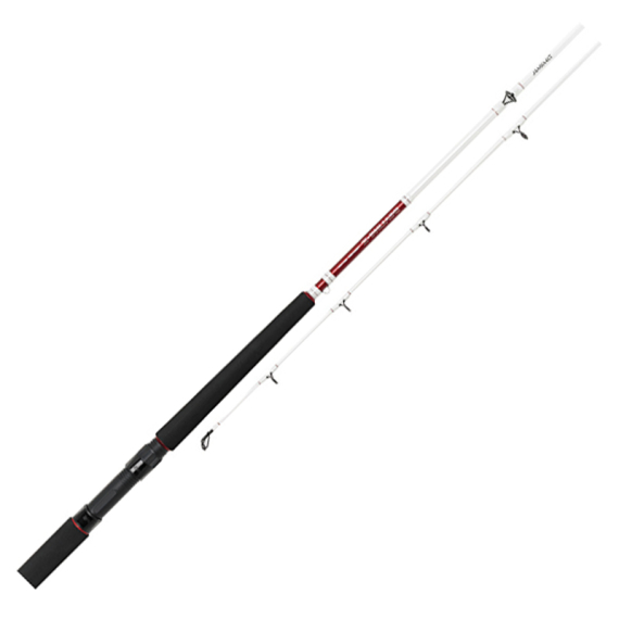 Daiwa Sealine Z Trolling in der Gruppe Angelruten / Trollingruten bei Sportfiskeprylar.se (209084r)