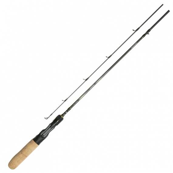 Daiwa Goldcast 2pc in der Gruppe Angelruten / Baitcast Ruten bei Sportfiskeprylar.se (216202r)