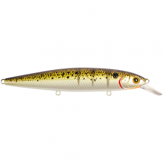 Strike Pro Bold, 11cm, 15g in der Gruppe Köder / Wobbler bei Sportfiskeprylar.se (29-EG191ASPr)