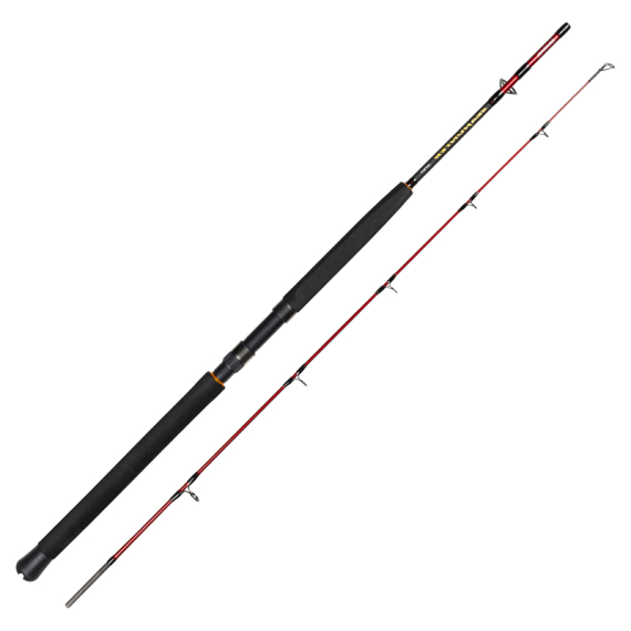 Daiwa Seahunter Spin in der Gruppe Angelruten / Meeresruten / Bootsruten bei Sportfiskeprylar.se (32-222125r)