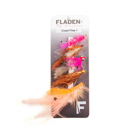 Fladen Maxximus Flies 5-pack Coast 1 in der Gruppe Köder / Fliegen / Fliegenpaket bei Sportfiskeprylar.se (34-2002)