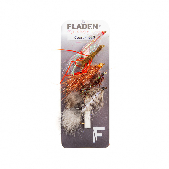 Fladen Maxximus Flies 5-pack Coast 3 in der Gruppe Köder / Fliegen / Fliegenpaket bei Sportfiskeprylar.se (34-2004)