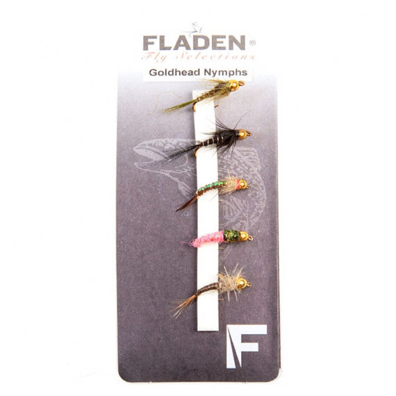 Fladen Maxximus Flies Goldhead Nymphs 5pcs in der Gruppe Köder / Fliegen / Nymphen bei Sportfiskeprylar.se (34-2011)