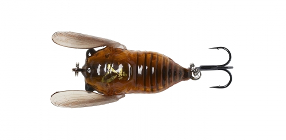 Savage Gear 3D Cicada 33mm 3,5g Floating, Brown in der Gruppe Köder / Oberflächenköder & Poppers bei Sportfiskeprylar.se (61988)