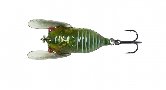 Savage Gear 3D Cicada 33mm 3,5g Floating, Green in der Gruppe Köder / Oberflächenköder & Poppers bei Sportfiskeprylar.se (61989)
