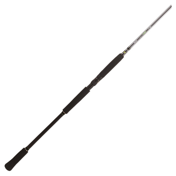 BFT Raptor G2 Pike Spin 8\' -100g, 2pcs Spinning in der Gruppe Angelruten / Spinnruten bei Sportfiskeprylar.se (75-BFT-R2SP80-2)