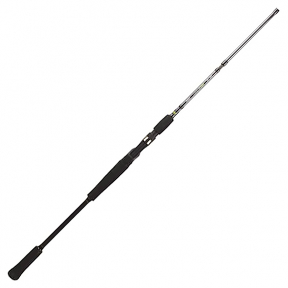 BFT Raptor G2 Spinn in der Gruppe Angelruten / Baitcast Ruten bei Sportfiskeprylar.se (75-BFT-R2TJ66-2r)