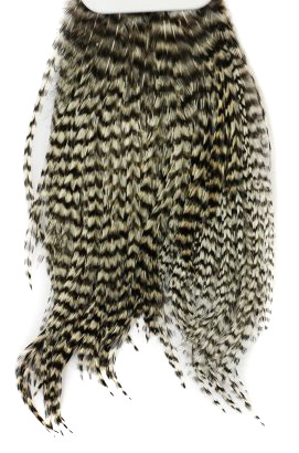 Whiting Bugger Pack in der Gruppe Haken & Zubehör / Fliegenbinden / Fliegenbindematerial / Feder & Bälge / Bälge & Sättel bei Sportfiskeprylar.se (91871734r)