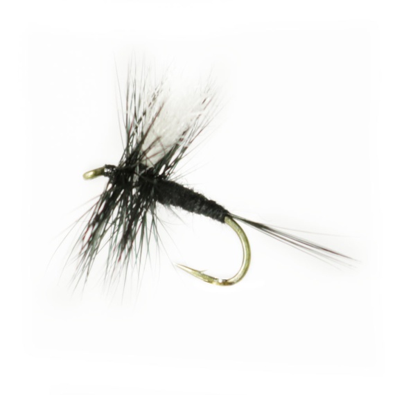 Black Gnat # 16 in der Gruppe Köder / Fliegen / Trockenfliegen bei Sportfiskeprylar.se (F30-1035-16)