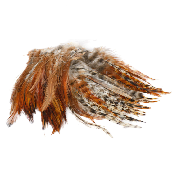 Strung Neck Hackle in der Gruppe Haken & Zubehör / Fliegenbinden / Fliegenbindematerial / Feder & Bälge / Hackle bei Sportfiskeprylar.se (FD-SN03r)