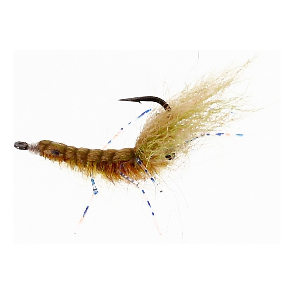 Honeyshrimp UV Gamakatsu in der Gruppe Köder / Fliegen / Spinnfliege bei Sportfiskeprylar.se (FL00722r)