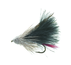 Marabou Muddler Black Daiichi 1720 #8 in der Gruppe Köder / Fliegen / Trockenfliegen bei Sportfiskeprylar.se (FL20023)