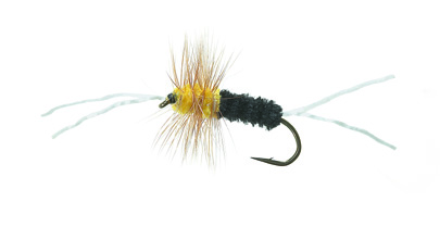 Bitch Creek Black/Yellow Daiichi 1710 #8 in der Gruppe Köder / Fliegen / Nymphen bei Sportfiskeprylar.se (FL22016)