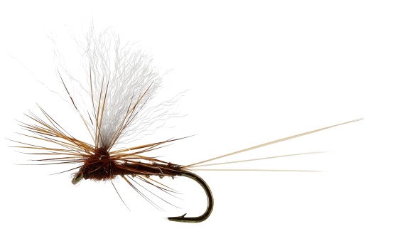 Vespertina Dun Biot Brown TMC100 in der Gruppe Angelmethoden / Fliegenfischen / Fliegen / Trockenfliegen bei Sportfiskeprylar.se (FL32115r)