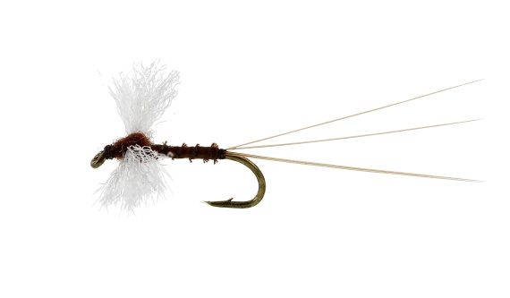 Vespertina Spinner Biot Brown TMC100 in der Gruppe Angelmethoden / Fliegenfischen / Fliegen / Trockenfliegen bei Sportfiskeprylar.se (FL32125r)