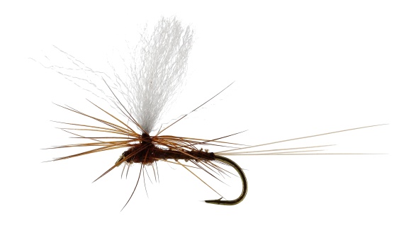 Marginata Dun Biot Brown TMC100 in der Gruppe Köder / Fliegen / Trockenfliegen bei Sportfiskeprylar.se (FL32130r)