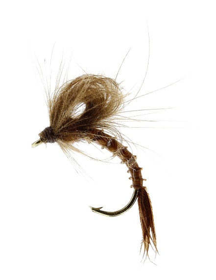 Marginata Emerger Biot Brown TMC212TR #13 in der Gruppe Köder / Fliegen / Trockenfliegen bei Sportfiskeprylar.se (FL32135)