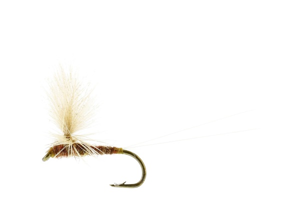 Ignita Dun Ginger TMC100 #16 in der Gruppe Köder / Fliegen / Trockenfliegen bei Sportfiskeprylar.se (FL32155)